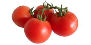 Tomatoes rich in lycopene